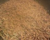 牛ひき肉とはるさめ炒め作り方14写真