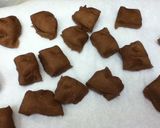 豆腐でもちもち手捏ねココアパン♥作り方11写真