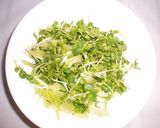 やみつきカイワレ大根とスジ肉のポン酢和え作り方5写真
