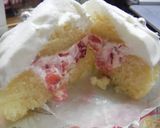 ミニむしケーキでクリスマス2010作り方12写真