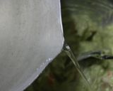 冷製アボカド作り方10写真