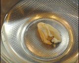 ***牡蠣★南蛮漬け***作り方1写真
