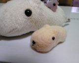 キャラ弁！カピバラさんおにぎり♬作り方4写真