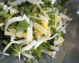 簡単☆冬野菜の浅漬け作り方2写真