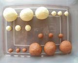 たぬきのさつまいもチョコあんパン作り方6写真
