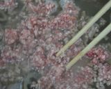 そぼろ煮レンコン作り方9写真