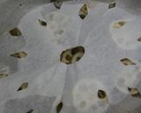 そぼろ煮レンコン作り方5写真