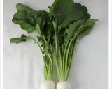 季節の野菜をなんでもお漬物にしちゃおぅ～作り方1写真