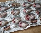 魚の一夜干し作り方3写真