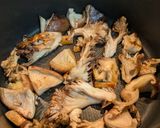 焼ききのこと鶏肉のスープ〜バルサミコ仕立て〜作り方6写真
