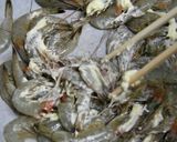 焼海老マヨ風味作り方5写真