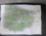 春菊とマッシュルームのホットサラダ作り方1写真