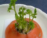 水栽培で育てるニンジンの葉っぱ作り方4写真