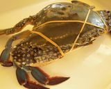 活ワタリガニの茹で方(捌き方付き)作り方1写真