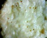 野菜とご飯とおから入りお食事ホットケーキ作り方3写真