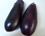 グリルで なすび❤伝統の味作り方1写真