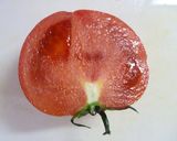 初めてのトマト　～離乳食 第⑫弾～作り方5写真