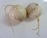 初めてのかぶ　～離乳食 第⑬弾～作り方2写真
