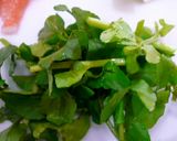 ローストビーフ少量でＯＫ！ご馳走生春巻き作り方1写真