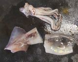 ホッコリ和食✨️里芋とイカの煮物作り方3写真