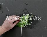 これだけでご飯が進む！究極のねぎ塩ダレ作り方4写真