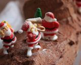 簡単クリスマス・ブッシュ作り方15写真