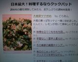 大根葉ツナ炒め作り方4写真