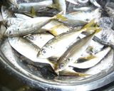 鯵のからあげ　下味は１：１作り方1写真