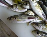 鯵のからあげ　下味は１：１作り方2写真