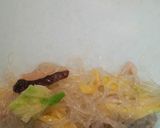 残り物で春巻き作り方7写真