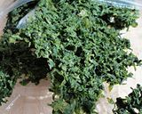 簡単★磯風味★もやしと油揚げのお味噌汁作り方5写真