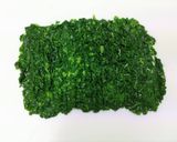 簡単昼食！長芋明太冷やしモロヘイヤうどん作り方3写真
