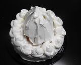 アンパンマンのクリスマスツリーケーキ作り方11写真
