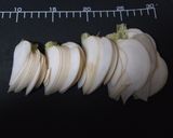 かぶの千枚漬け風作り方1写真