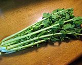 大根葉入りシャクシャク餃子作り方2写真