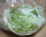 簡単おつまみ、おかず★中華風白菜の浅漬け作り方2写真