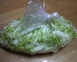 簡単おつまみ、おかず★中華風白菜の浅漬け作り方3写真