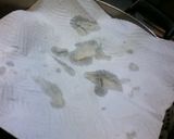 蒸し牡蠣のわさび醤油作り方4写真