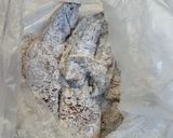 皮パリッ★生姜醤油味★ぶりの竜田揚げ作り方5写真