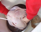 ターキー　＆　ローストチキン用漬けだれ液作り方1写真