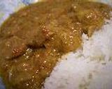本日のチキンカレー(25/04/2004)作り方7写真