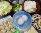 白菜たっぷり春雨と肉団子の鍋作り方2写真