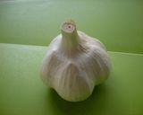 豆乳入りバーニャカウダ作り方7写真
