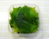 大葉ごま油漬け作り方1写真