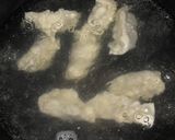 自家製皮がツルンツルンの水餃子作り方13写真