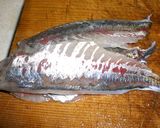 アジの酢漬け作り方1写真