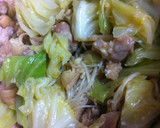 鶏とキャベツだけ　甘辛おいしい簡単作り方6写真