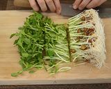 豆苗とツナの和えもの作り方1写真