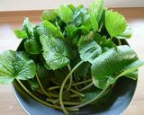 本わさびのツンツン漬け作り方1写真