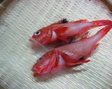 キンキno煮付け作り方1写真